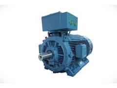 
      
      ABB India extends low voltage flameproof motor
      
      