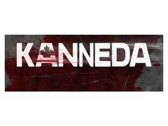 
      
      Parmish Verma, Ranvir Shorey team up for new show ‘Kanneda’
      
      