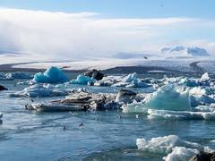
      
      Study finds significant glacier retreat in Arunachal over 32 yrs
      
      