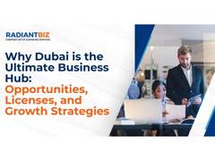 
      
      Why Dubai is the Ultimate Business Hub
      
      