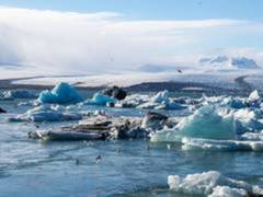 
      
      Study reveals impact of animals as architects of Earth
      
      