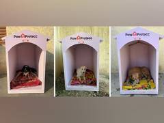 
      
      Mars Petcare and Swiggy Instamart Expand Efforts 
      
      