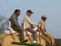 
      
      S Jaishankar and Ambassadors of 45 countries take elephant safari
      
      