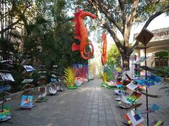 
      
      Bioscope 2025: Suchitra Academy Showcases a Spectacle of Artistic
      
      