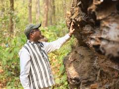 
      
      Dharmendra Pradhan pushes for prehistoric ‘Bhima Mandali’ site
      
      