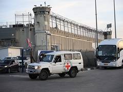 
      
      1,778 imprisoned Palestinian terrorists released 
      
      