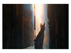 
      
      Oscars 2025: 'Flow' secures Best Animated Feature Film award 
      
      