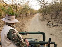 
      
      Gujarat: PM Modi goes on Lion Safari at Gir National Park
      
      