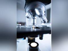 Scientists use AI to better understand nanoparticles: Study 