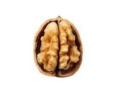 
      
      Study Shows Walnut-Rich Breakfast May Help to Boost Your Brain 
      
      