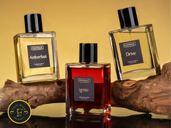 
      
      Faunwalk Launches Aura Collection – A Game-Changer 
      
      