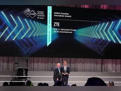 
      
      ZTE's Minimalist wins GSMA Foundry Innovation Award 
      
      