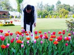 
      
      Uttarakhand govt working to boost horticulture, floriculture: CM 
      
      