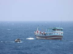 
      
      INS Tarkash assists Iranian Dhow in Indian Ocean rescue mission
      
      