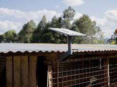 
      
      Airtel partners with Musk’s SpaceX to bring Starlink in India
      
      