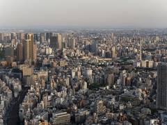 
      
      Urban-Rural Balance: Learning from Global Models 
      
      