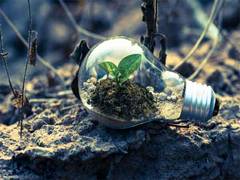 
      
      Waaree Renewable Technologies upgraded to CARE A by CARE Ratings
      
      
