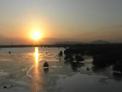 
      
      TN: Perungulam Pond emerges as a key habitat for aquatic birds
      
      
