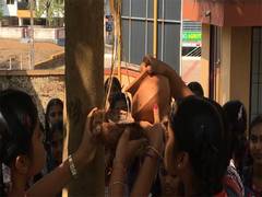 
      
      Mangaluru school's 'Chu Chu Abhiyan' saving birds from hunger
      
      
