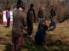 
      
      Lavender plantation drive kicks off at Badamwari Garden
      
      