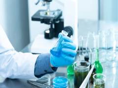 
      
      Researchers devise process to convert skin cell into neurons
      
      