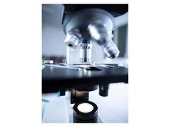 
      
      Study finds how to treat aggressive cancers 
      
      