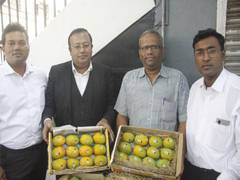 
      
      Maharashtra: Devgad Alphonso mangoes go digital, will carry UID c
      
      