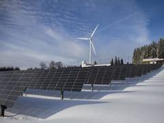 
      
      India's renewable hydrogen developers bank on cost advantage in l
      
      