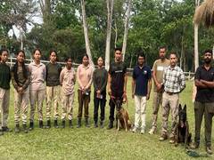 
      
       Forest department deploys sniffer dog
      
      