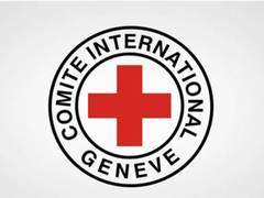 
      
      Medical supplies in Gaza dwindling: International official
      
      
