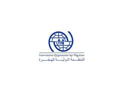 
      
      2024 sees record migrant deaths, IOM reports
      
      