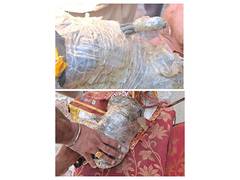 
      
      BSF, Punjab Police seize heroin and opium near Ferozepur border
      
      