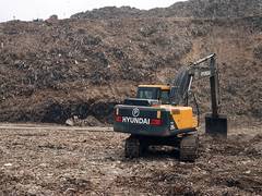 
      
      Bamboo plantation drive to revive Bhalswa landfill
      
      