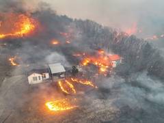 
      
      South Korea: Death toll rises to 18 as wildfires spread
      
      