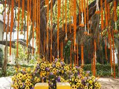
      
      Why More Couples Are Choosing India for Their Destination Wedding
      
      
