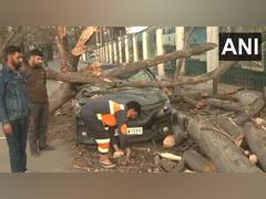 
      
      J-K: Several trees uprooted across Srinagar due to strong winds
      
      