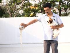 
      
      Stalin urges people to provide water, food to birds in summers
      
      