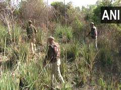 
      
      J-K: Security forces intensify search operation in Samba sector n
      
      