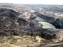 
      
      'Cheap thermal coal emerge as attractive input for power gen'
      
      