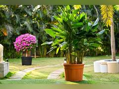 
      
      Harshdeep Hortico Ltd Secures Major Orders Worth INR 1.39 Crore 
      
      