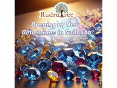 
      
      RudraTree Expands Sri Lanka Operations with New Blue Sapphire
      
      