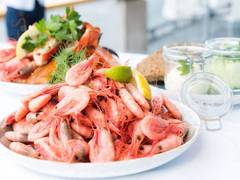 
      
      Indian seafood exports to face significant pressure due to US...
      
      