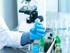 
      
      New research boosts future whooping cough vaccines
      
      
