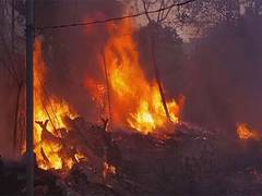 
      
      Delhi: Fire breaks out at vacant plot in Shaheen Bagh area
      
      