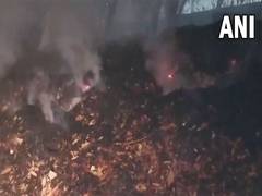 
      
      Fire breaks out in Sanjay Lake Forest in Delhi
      
      