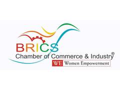 
      
      BRICS CCI WE launches whitepaper
      
      