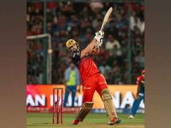 
      
      Tim David's cameo in death overs powers RCB to 163/7 against DC
      
      
