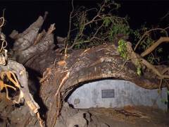 
      
      Bihar: Storm wreaks havoc in Nalanda, left 22 people dead 
      
      