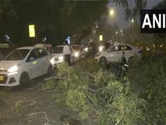 
      
      Delhi sees dust storm, trees fall in some areas
      
      