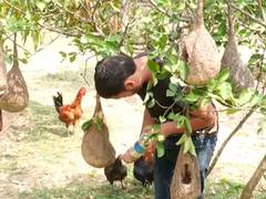 
      
      18-year-old creates 150 bird nests
      
      